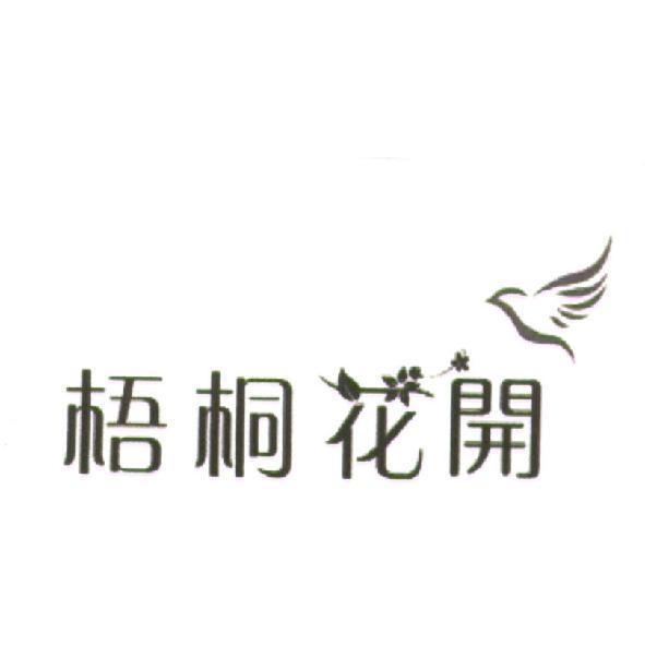 梧桐花開及圖