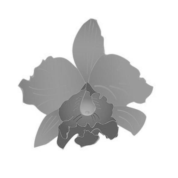 瑞蘭國際有限公司標章