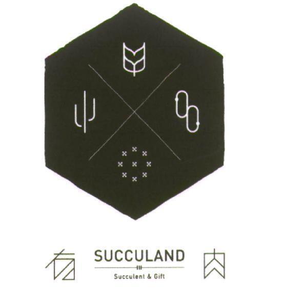 有肉 SUCCULAND 及設計圖