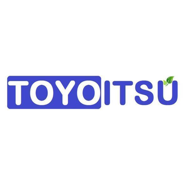 TOYOITSU及圖