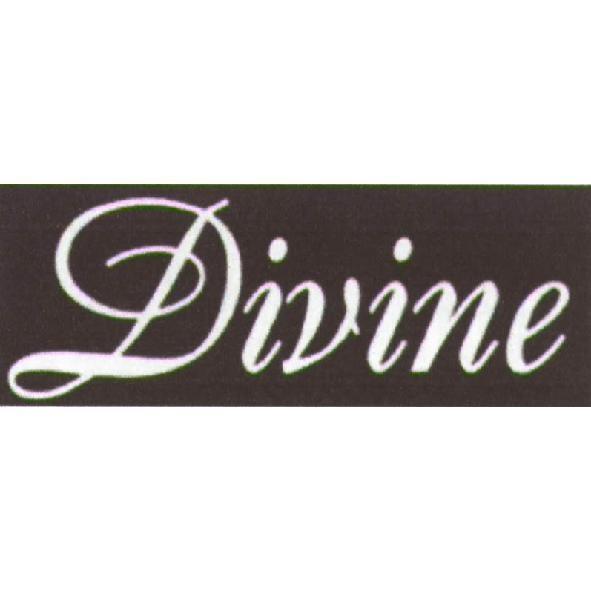 Divine 及圖