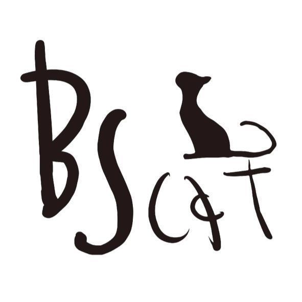 BS cat及圖