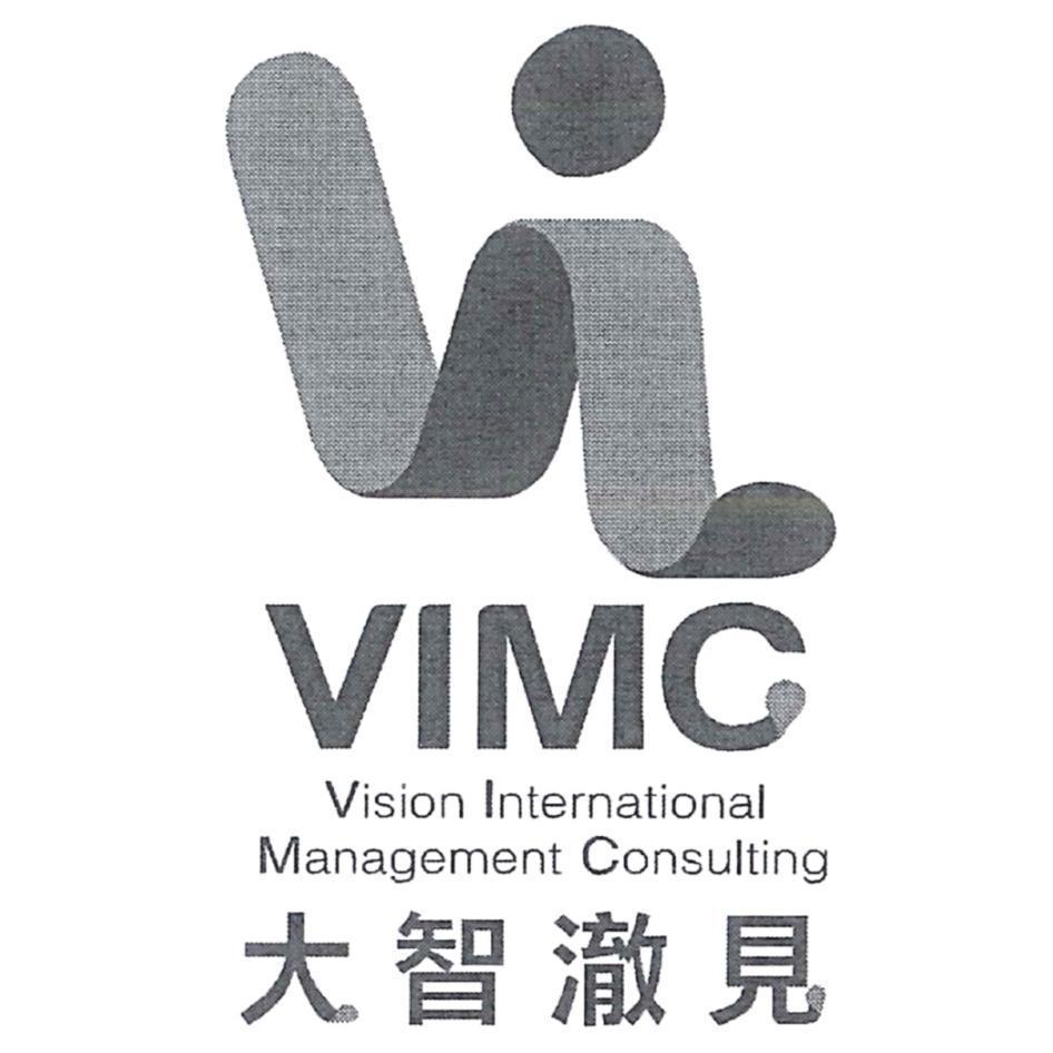 VIMC大智澈見及圖 VISION INTERNATIONAL MANAGEMENT CONSULTING