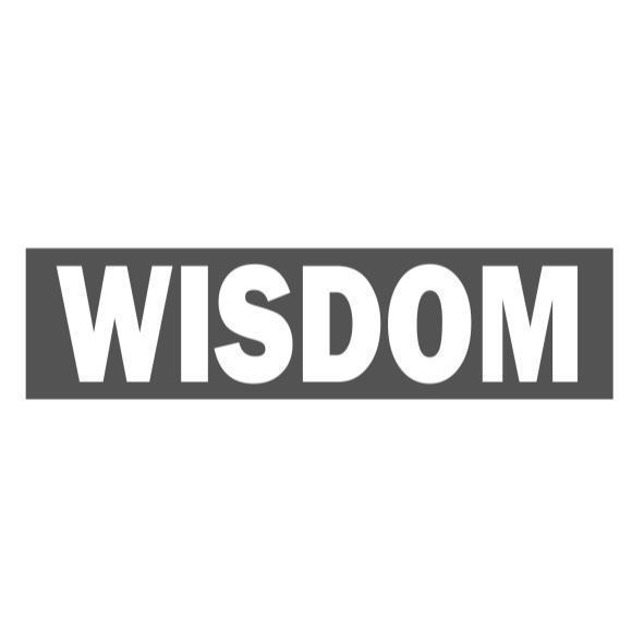 WISDOM及圖