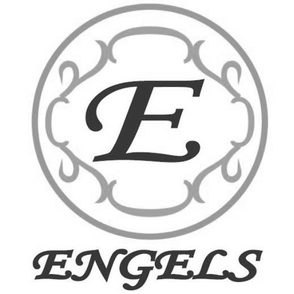 ENGELS及圖