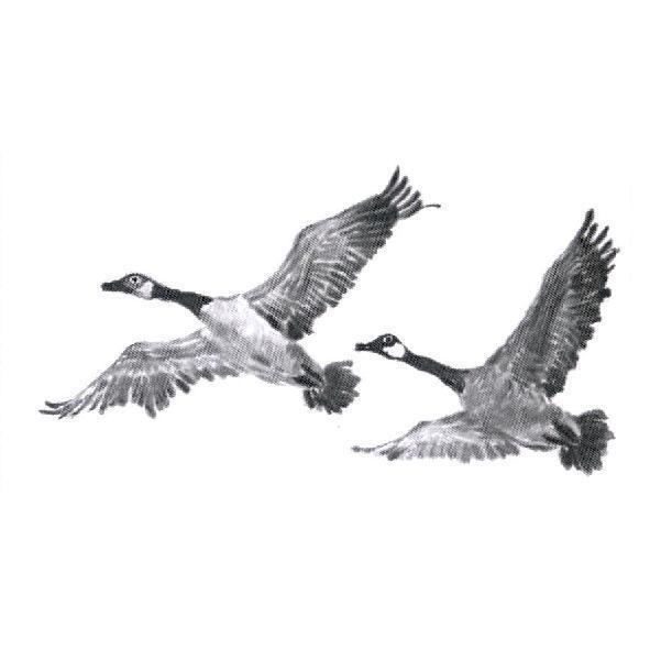 雁鳥設計圖