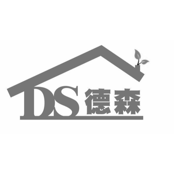 DS德森及圖