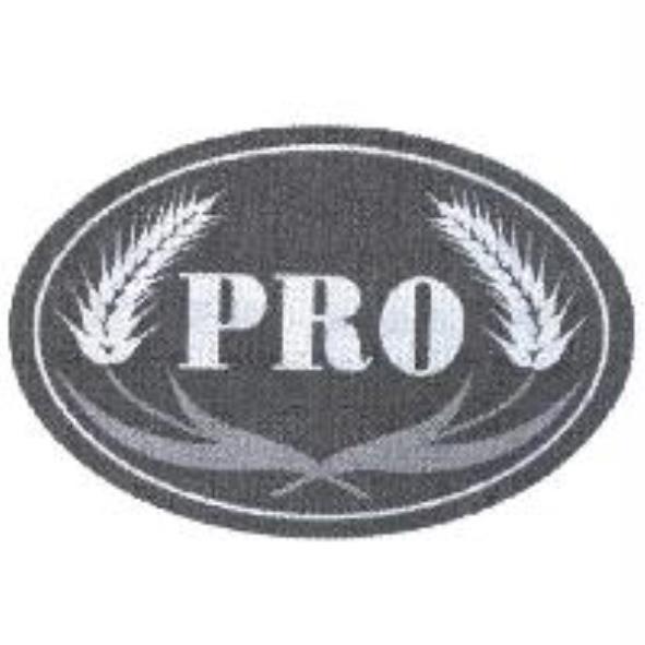 PRO及圖