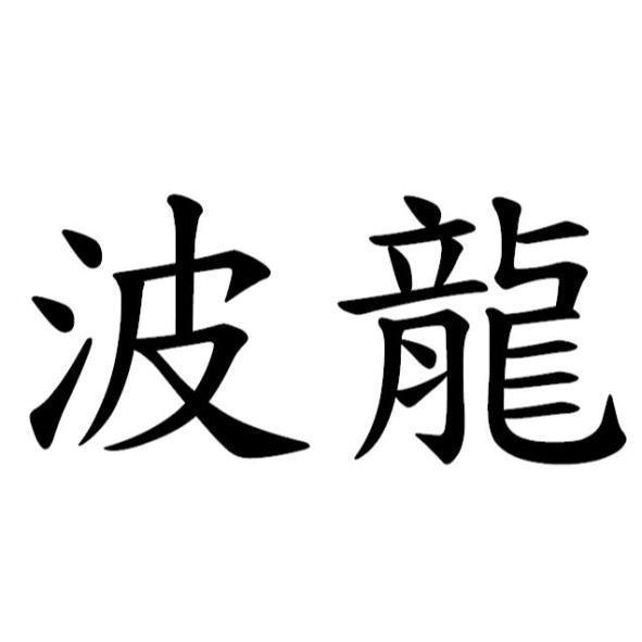 波龍