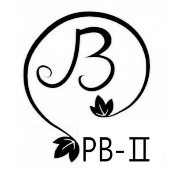 PB-Ⅱ及圖