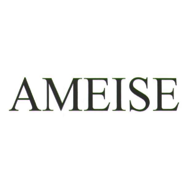 AMEISE
