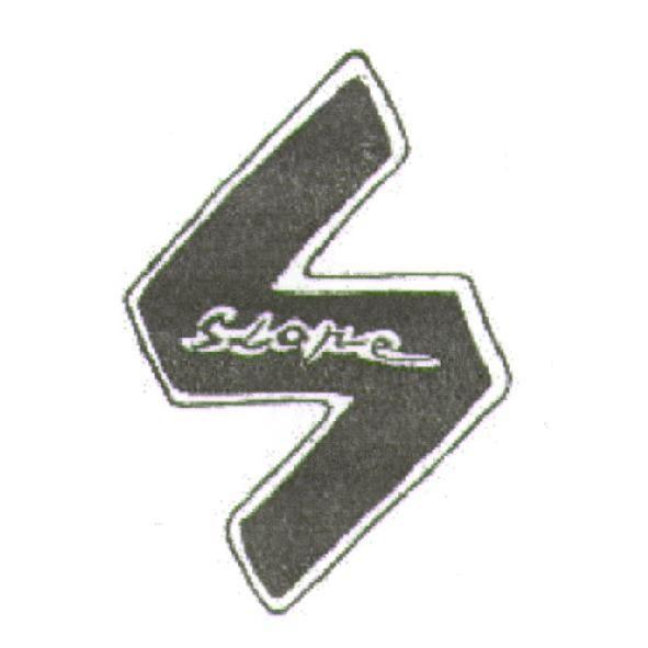 SLOPE 及 S 圖