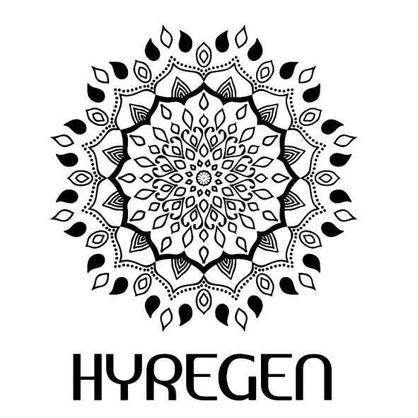 HYREGEN及圖