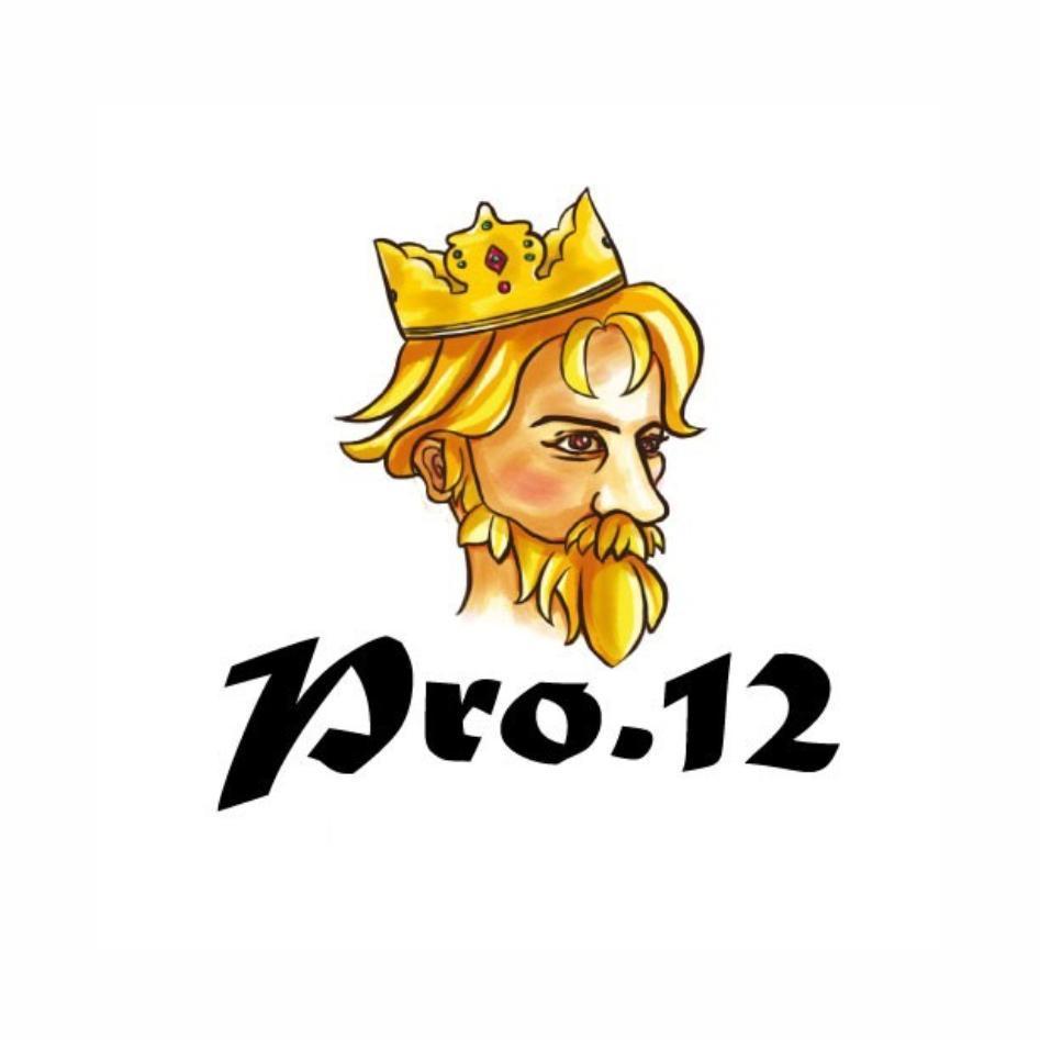 Pro.12及圖
