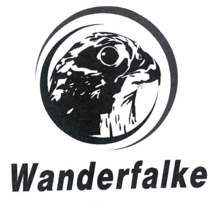 Wanderfalke 及圖