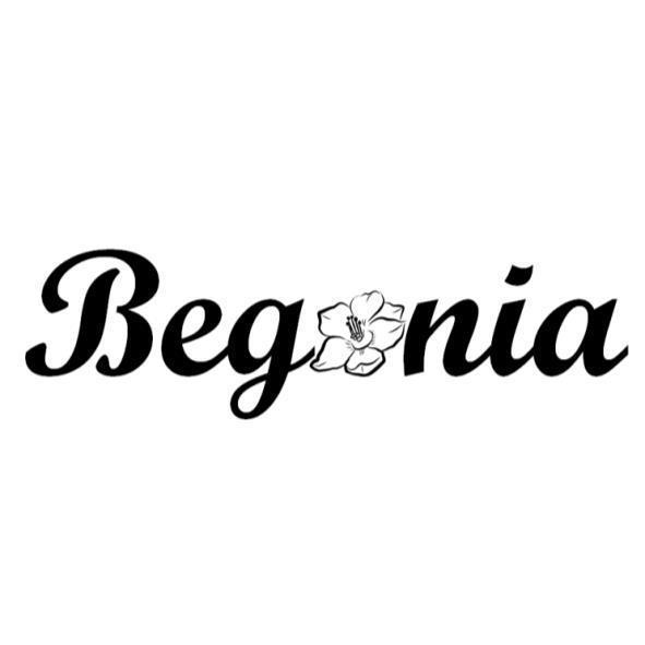 Begonia及圖