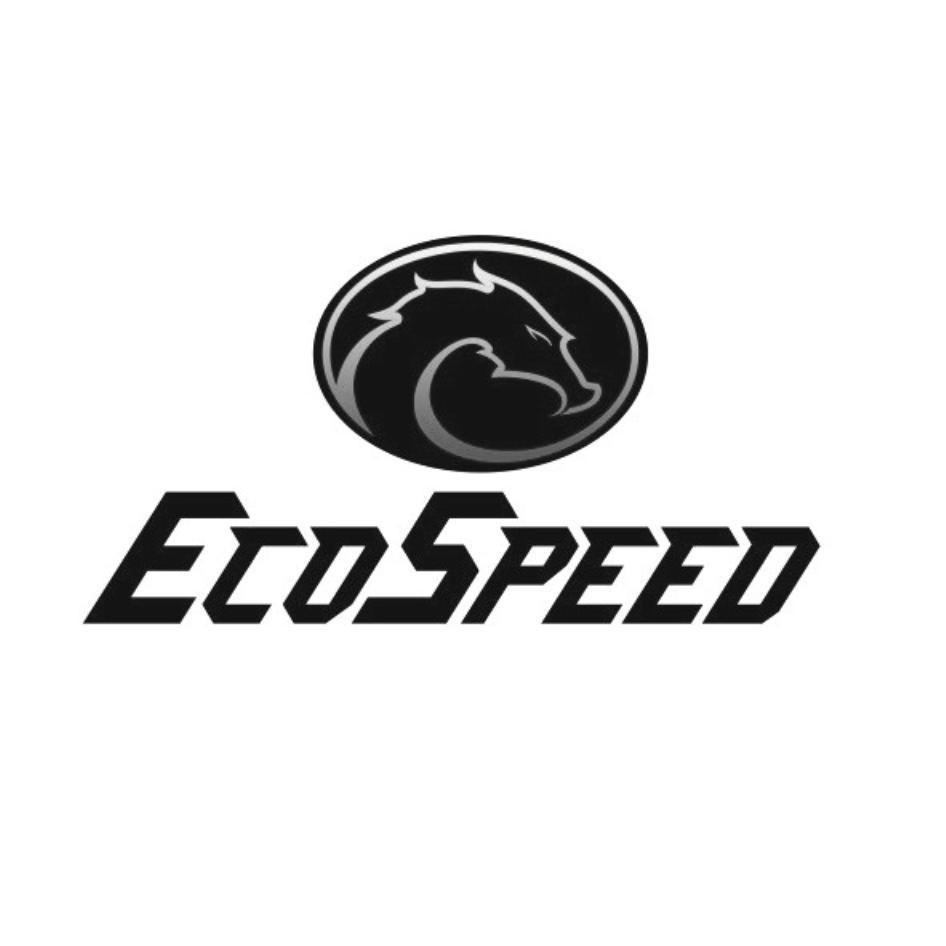 ECOSPEED及圖