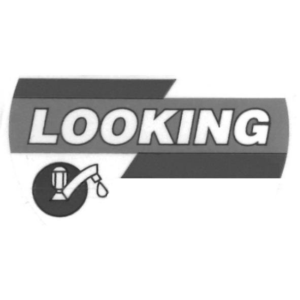 LOOKING及圖