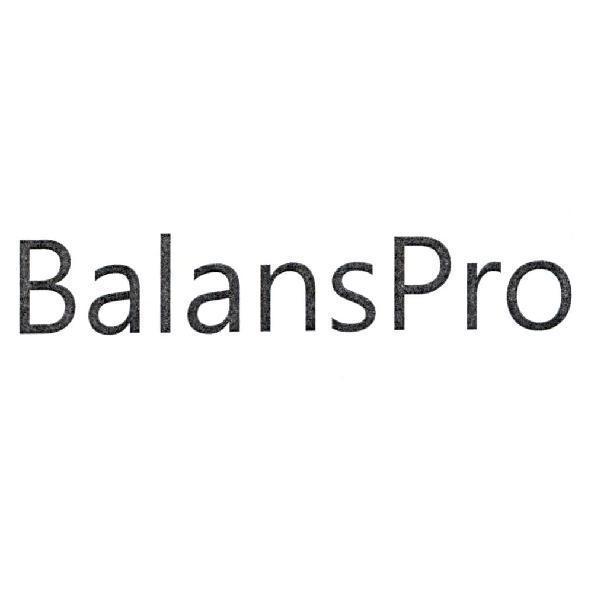 BalansPro