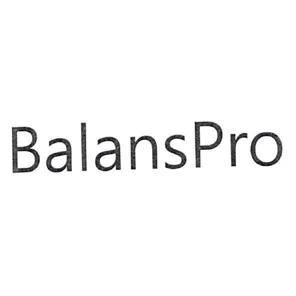 BalansPro