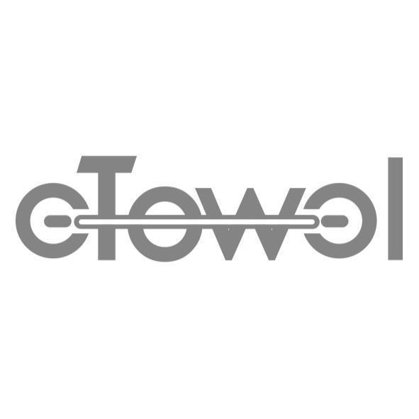 eTowel設計字
