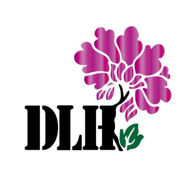 DLH及圖