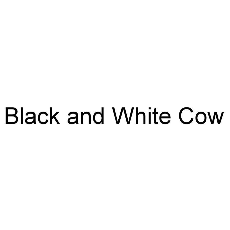 Black and White Cow