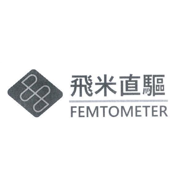飛米直驅 FEMTOMETER 及圖
