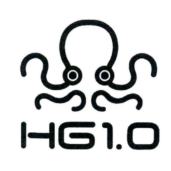 HG1.0 及圖