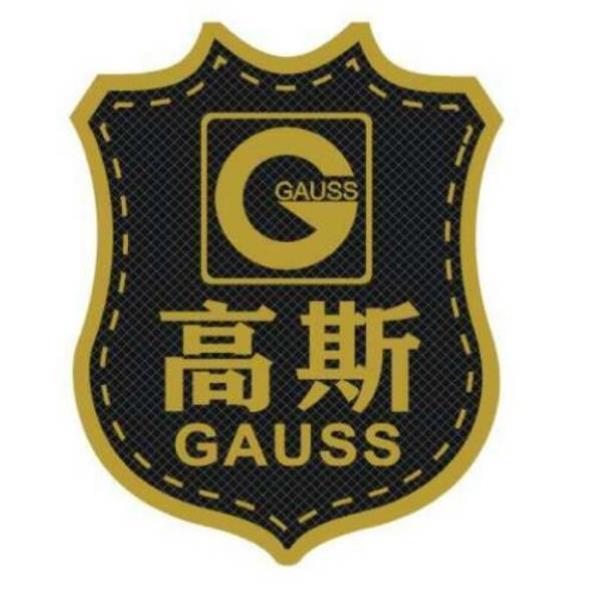 高斯 GAUSS設計圖