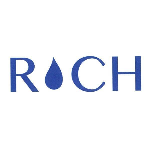 Rich設計字