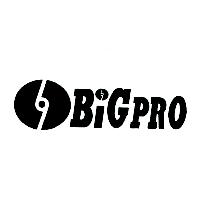 BIGPRO及圖