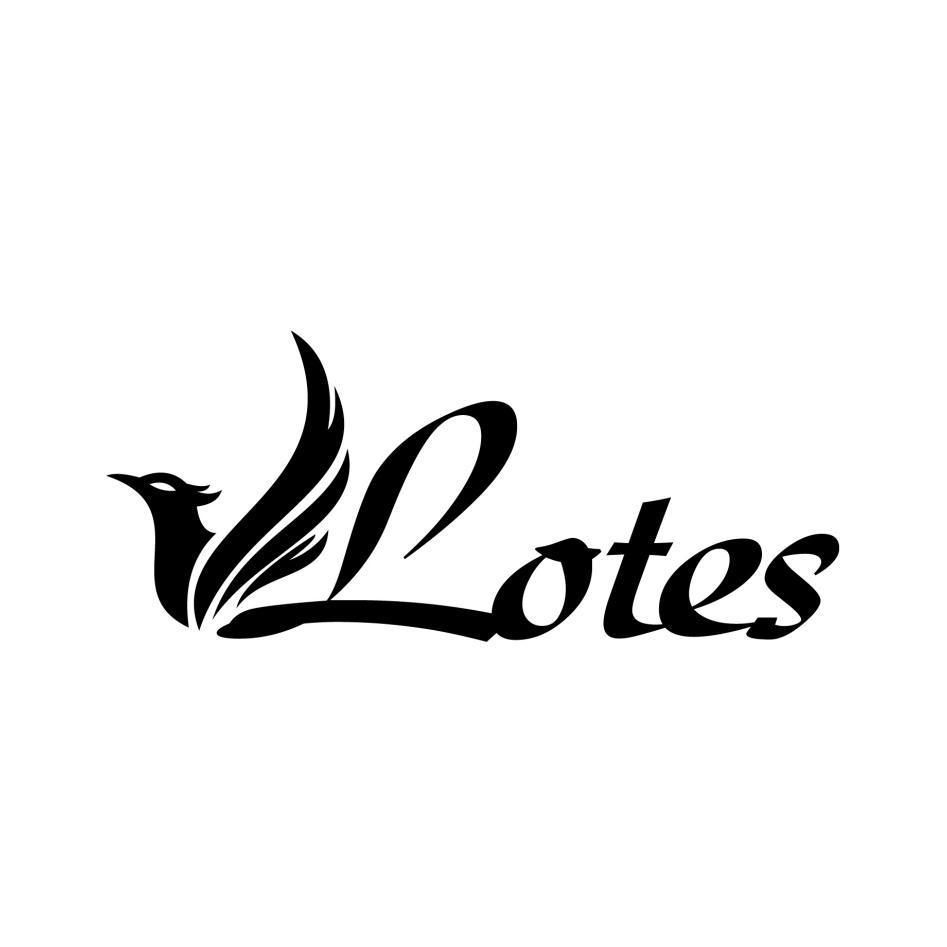 Lotes設計圖
