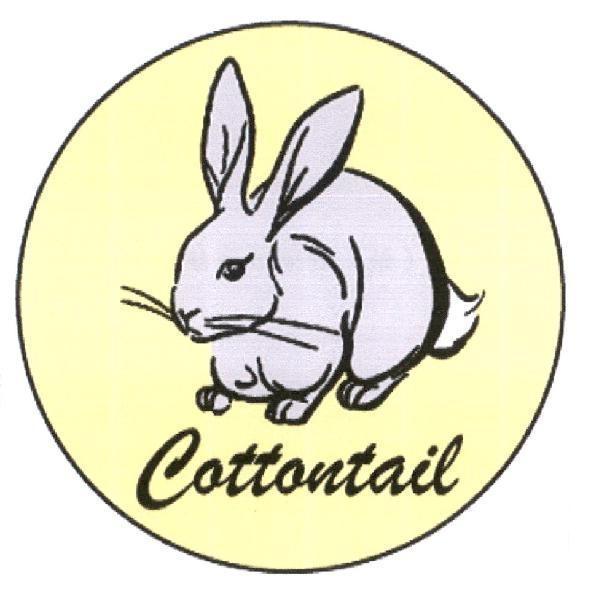 兔子圖 Cottontail