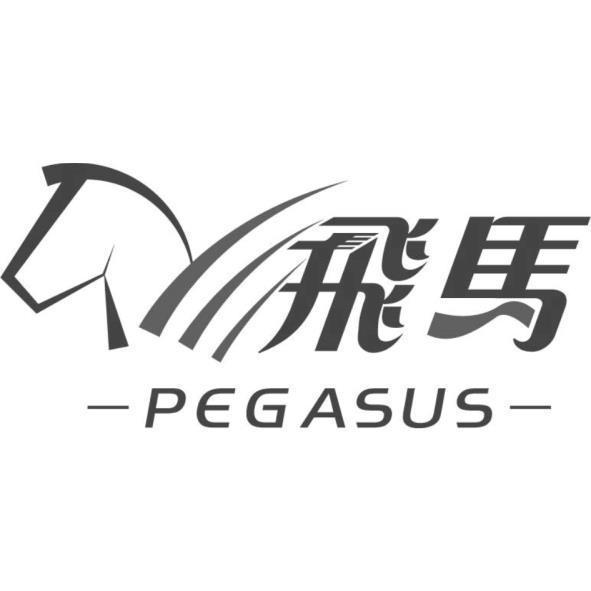 飛馬PEGASUS及圖