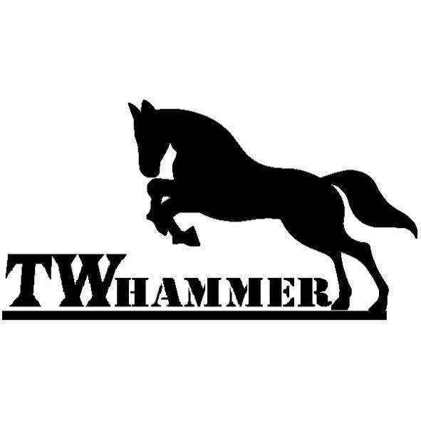 TWHAMMER及圖