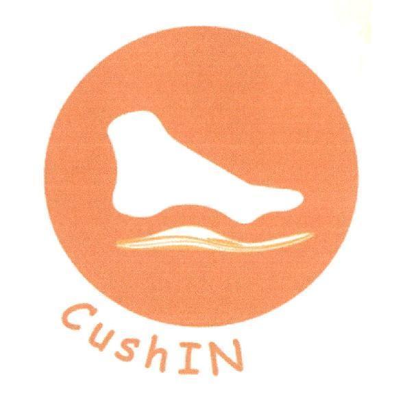 CushIN及圖
