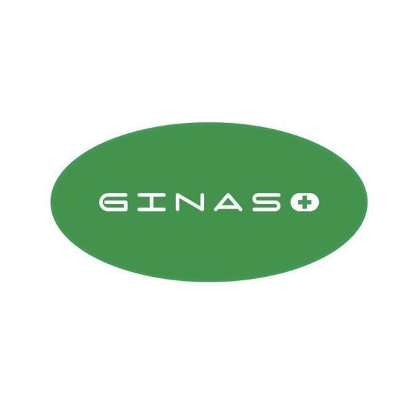 GINAS及圖