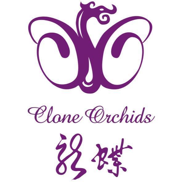 龍蝶Clone Orchids及圖