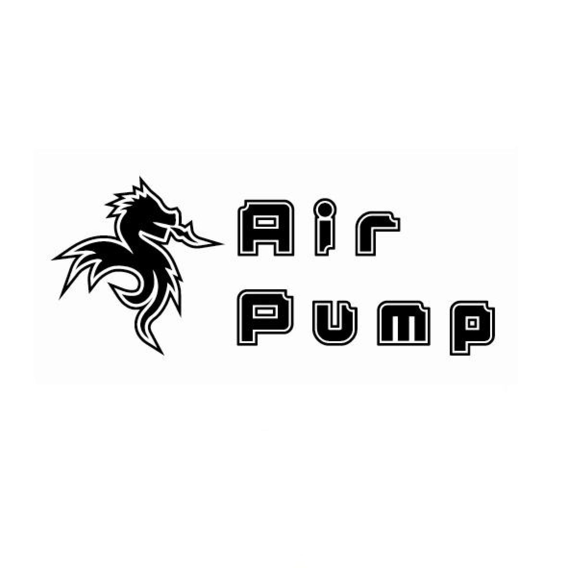 Air Pump及圖
