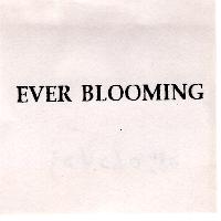 EVER BLOOMING