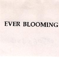 EVER BLOOMING