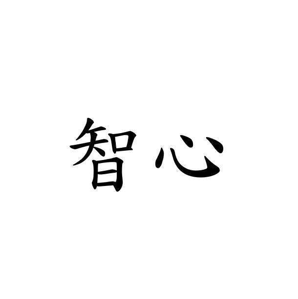 智心