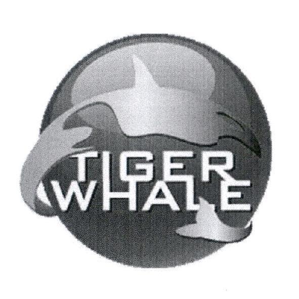 TIGER WHALE 及圖
