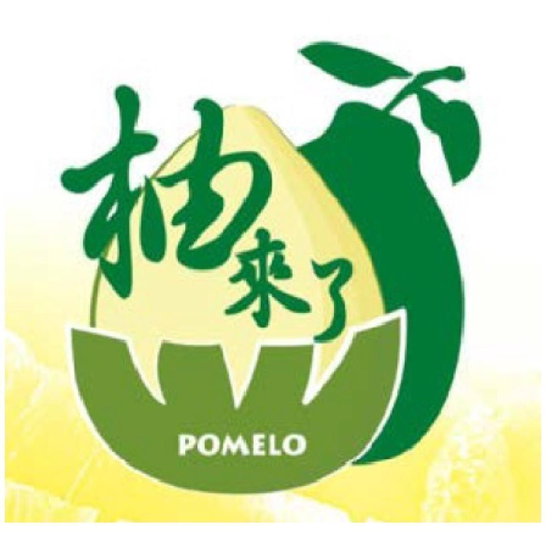 柚來了POMELO及圖