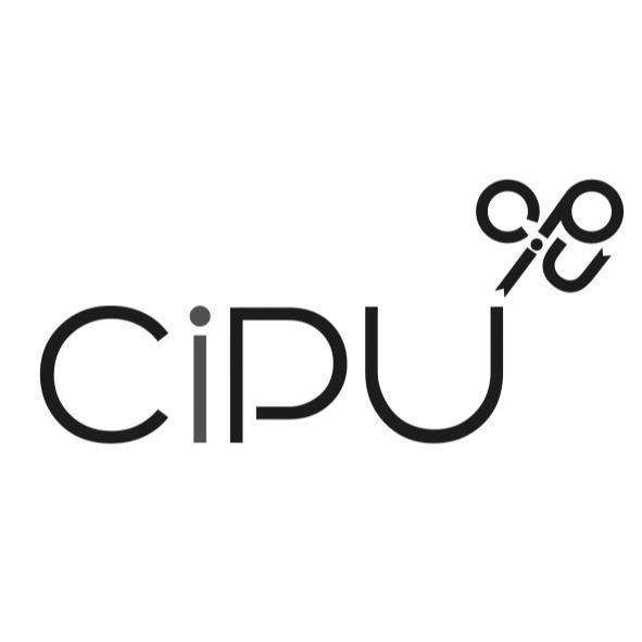 CiPU及圖