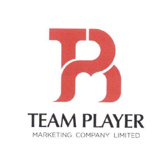 TEAM PLAYER及圖
