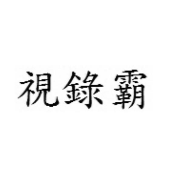 視錄霸