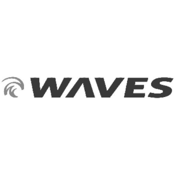WAVES及圖