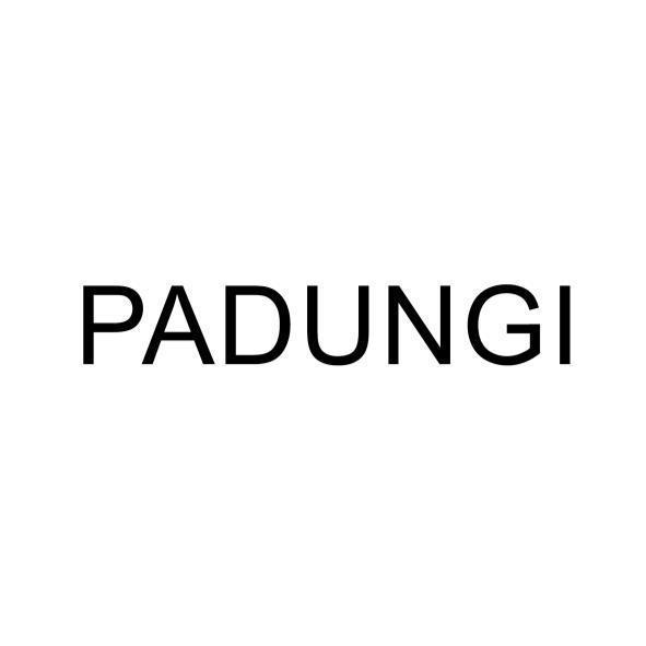 PADUNGI